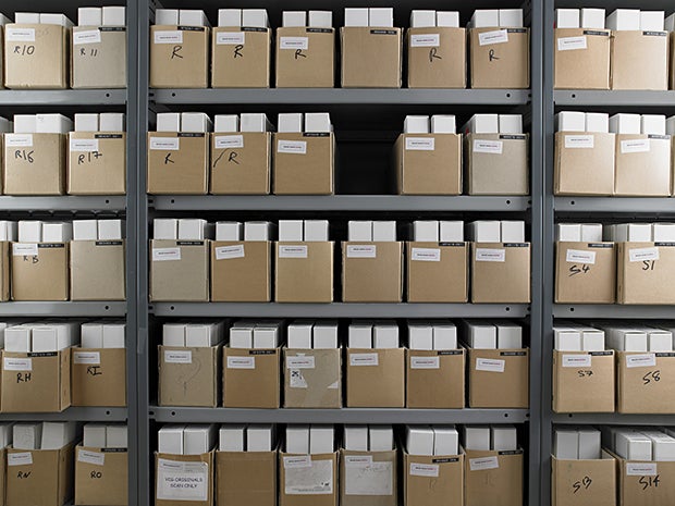 8 database
