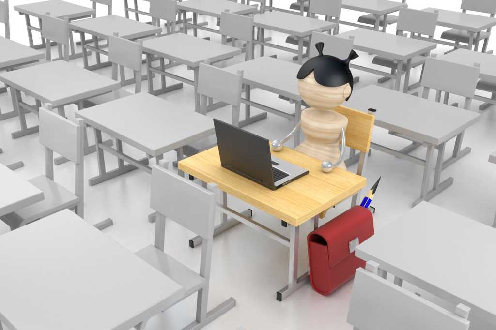 STEM skills and female information technology (IT) professionals