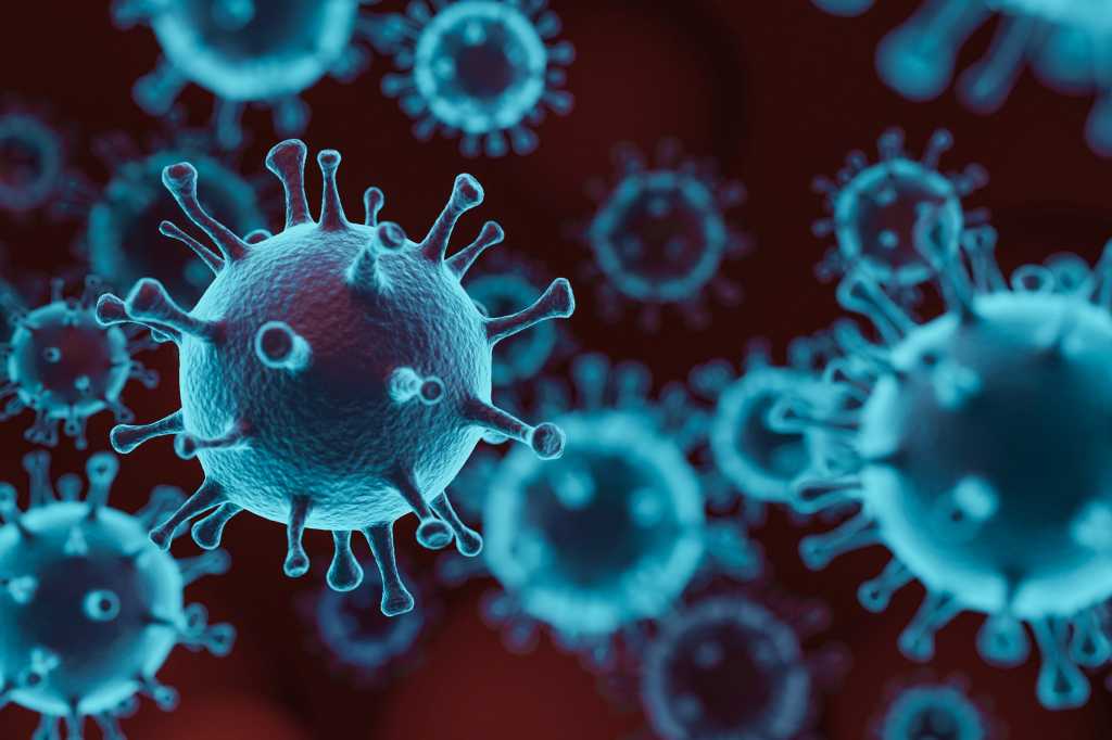 covid 19 coronavirus virus cells by jongho shin getty images 1208691882