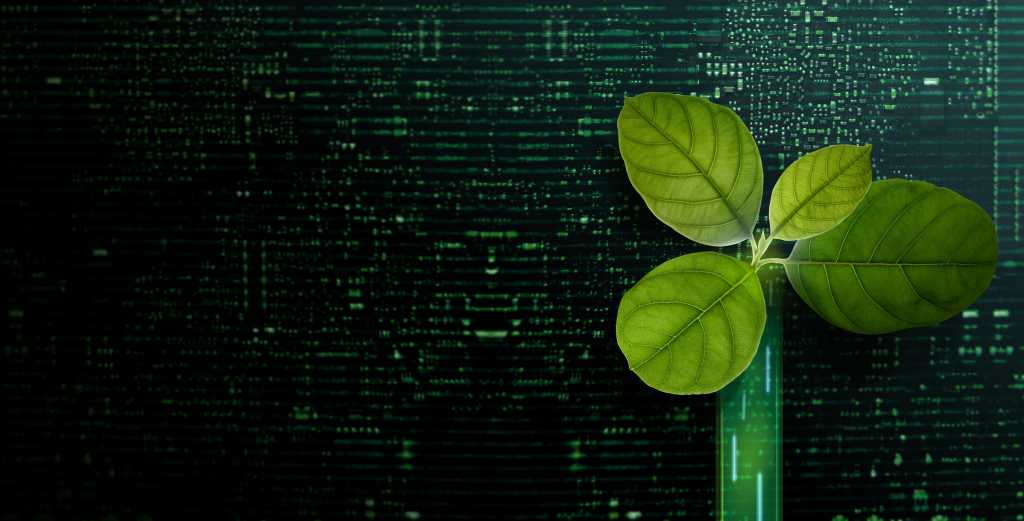 Carbon Nautral, ESG Concepts. Green Leaf inside a Computer Circuit Board.