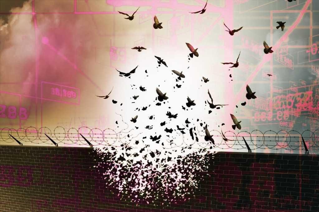 porting converting repurpose code birds in flight transformation