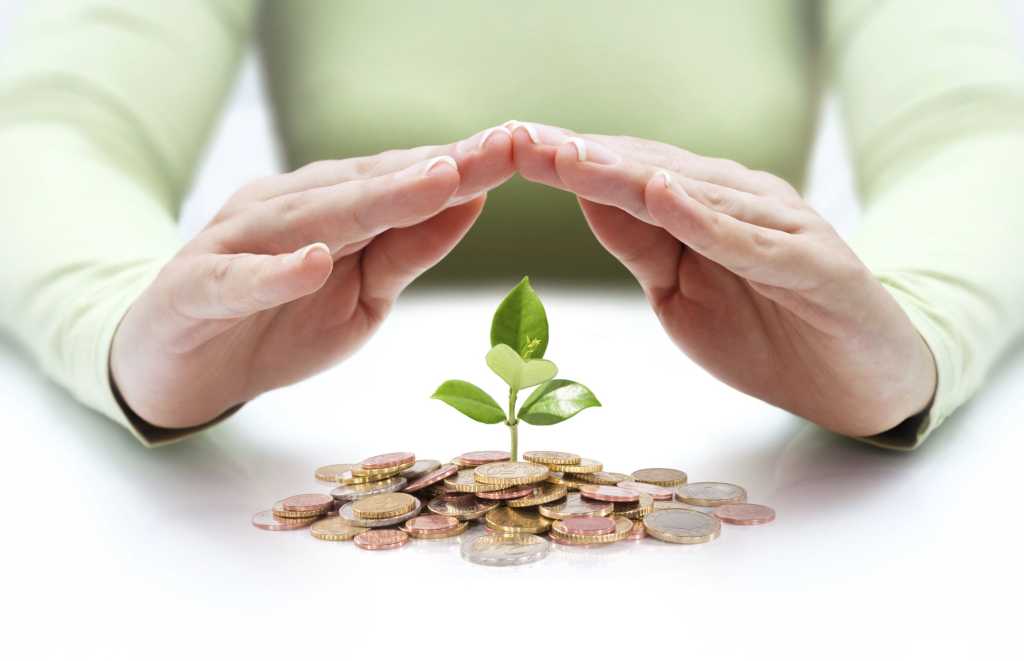 closeup image of woman's hands protecting growing money and investments
