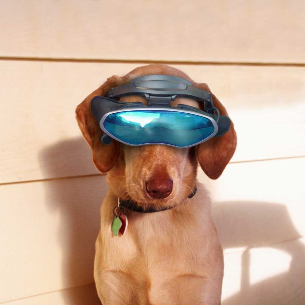 future dog with virtual reality glasses