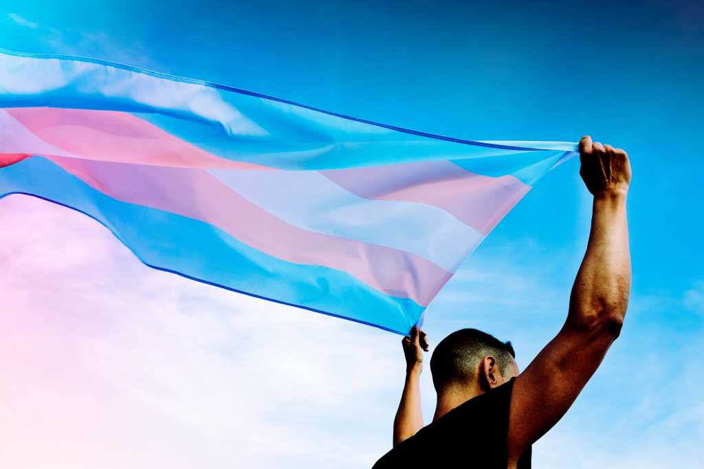 A transgender pride flag is carried overhead. [diversity / inclusion]