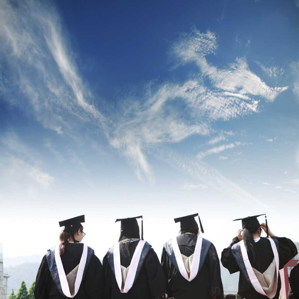 university