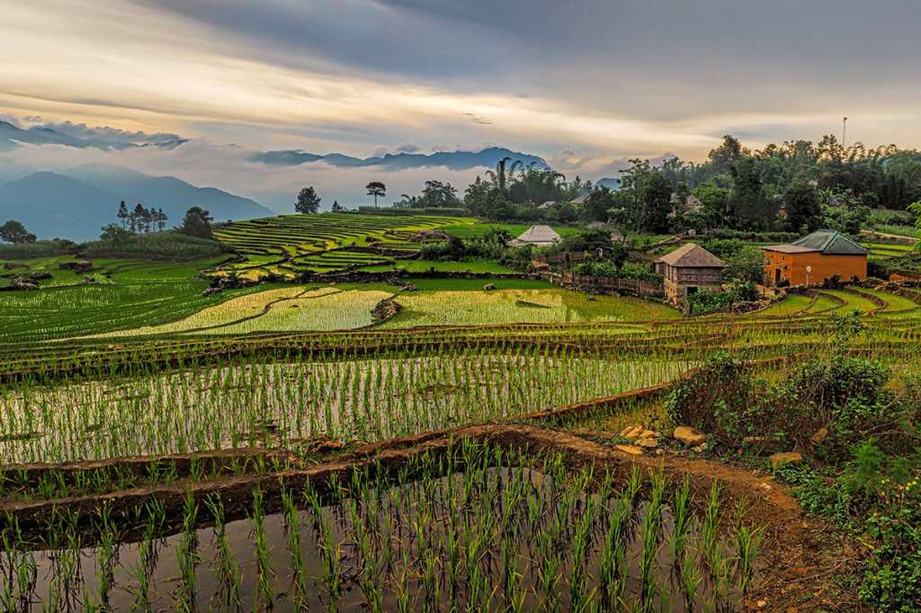 Village of Y Ty rice terraces, Vietnam, Southeast Asia