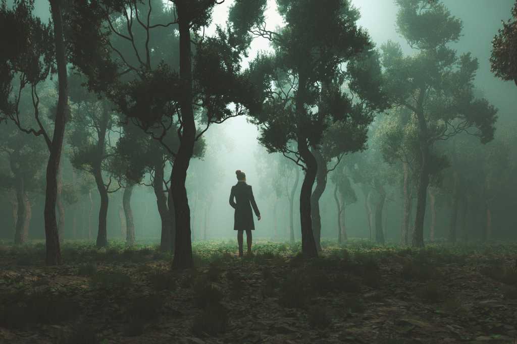 A woman alone in a forest lost regards her surroundings. / confusion / uncertainty / challenges