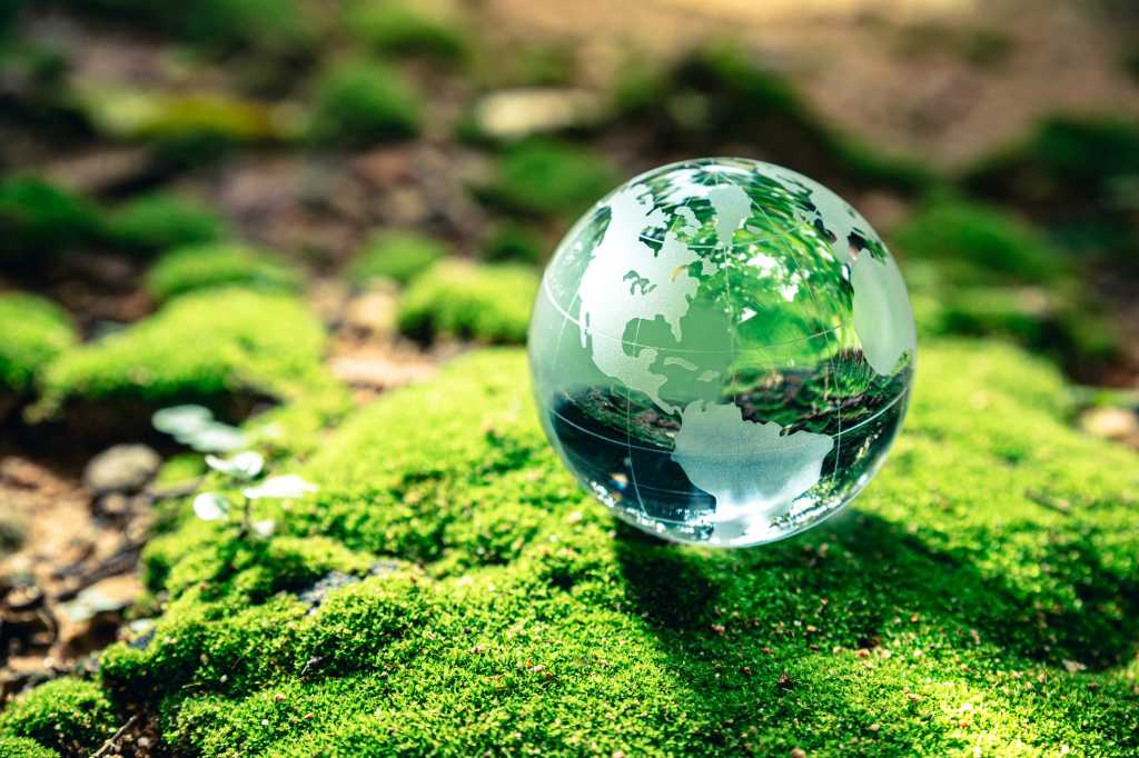 globe moss