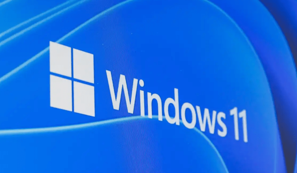 Windows 11